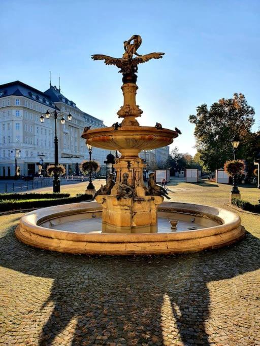 Lovely & Unique Apt In The Historic Center. Bratislava Exteriér fotografie